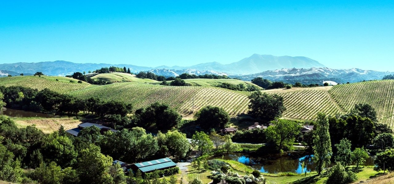 GC Lurton Vineyards - Acaibo